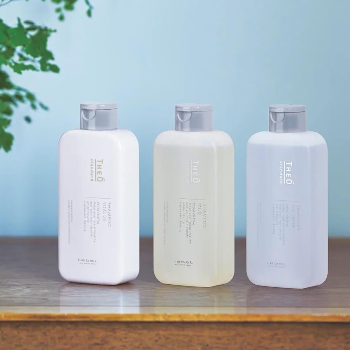 Чоловічий шампунь для шкіри голови та волосся Lebel Theo Standard Shampoo Vitalize, 250 мл